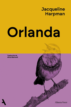 Cover Image: ORLANDA