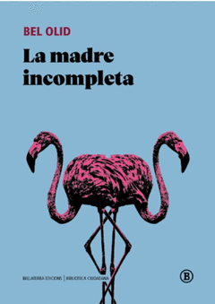 Cover Image: LA MADRE INCOMPLETA