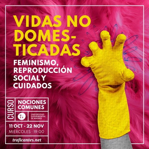 Curso Vidas no domesticadas. Feminismos, reproducción social y cuidados